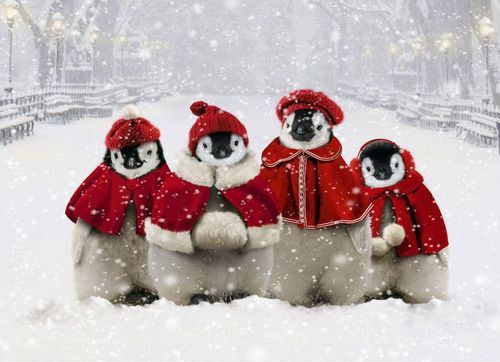 tumblr_mxhq9yLPil1rh0e3go1_500