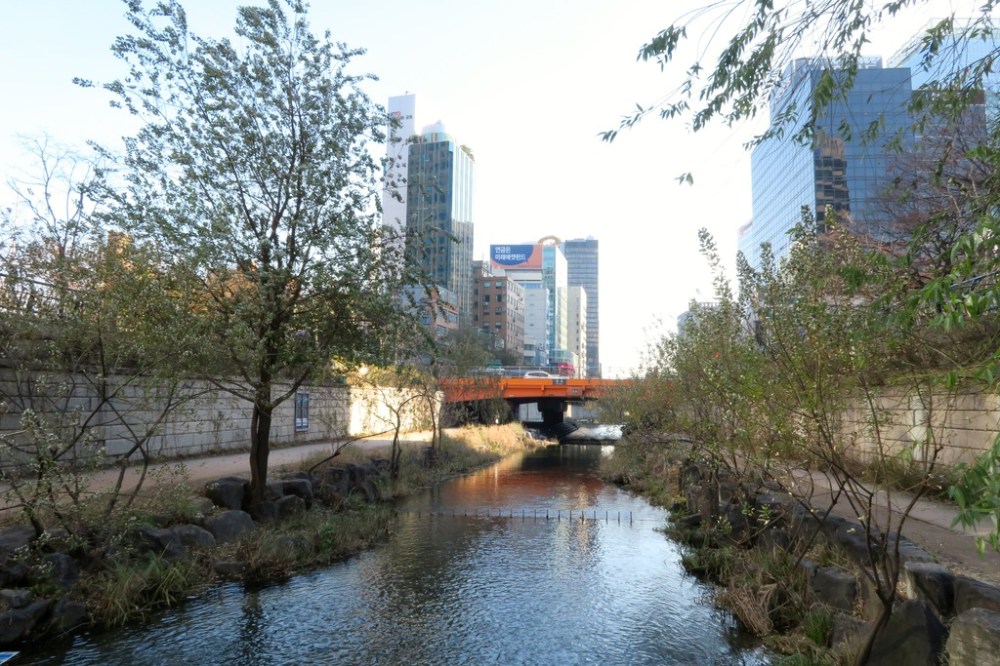 img_1393_zpshv4h9onz