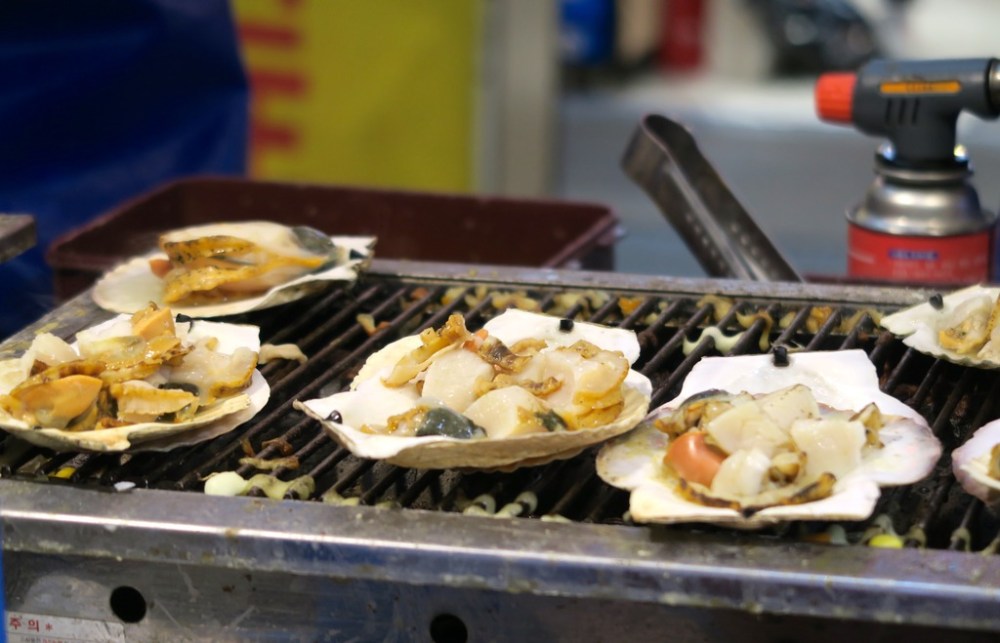 img_1481_zpsaym0mlfy