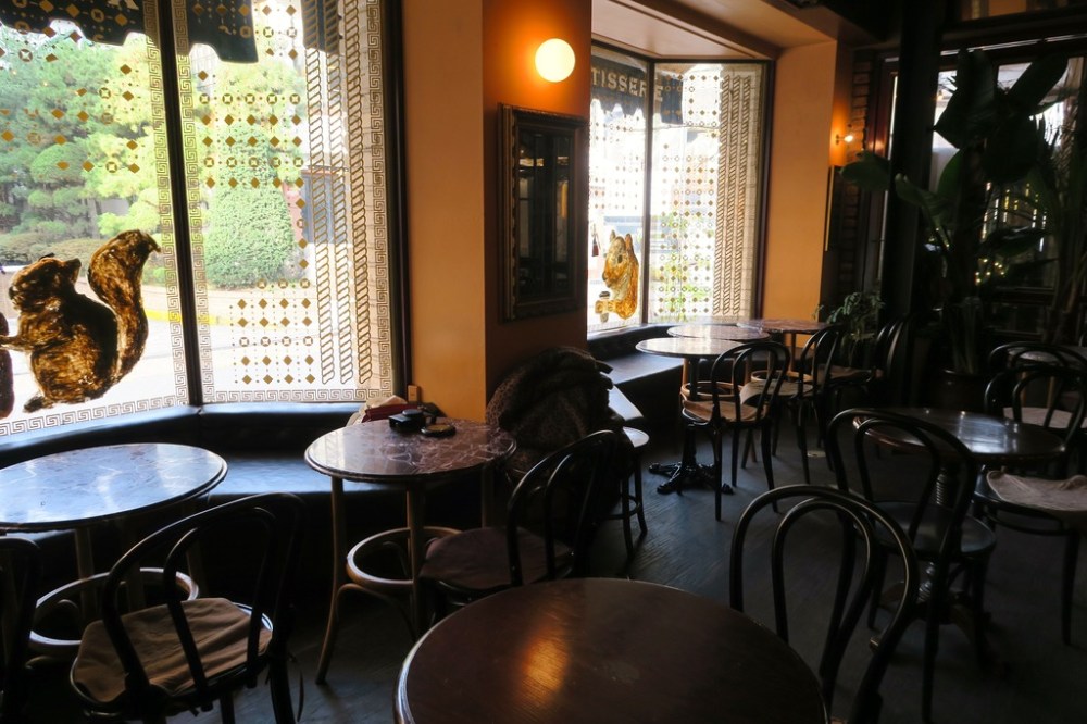 img_1493_zpshs0aogqe