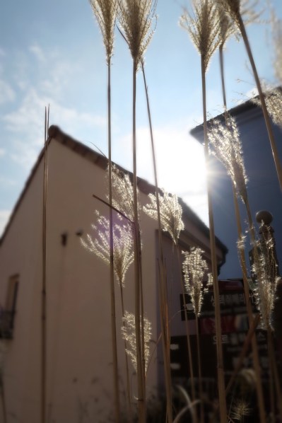 img_2202_zpsa3p3yedm