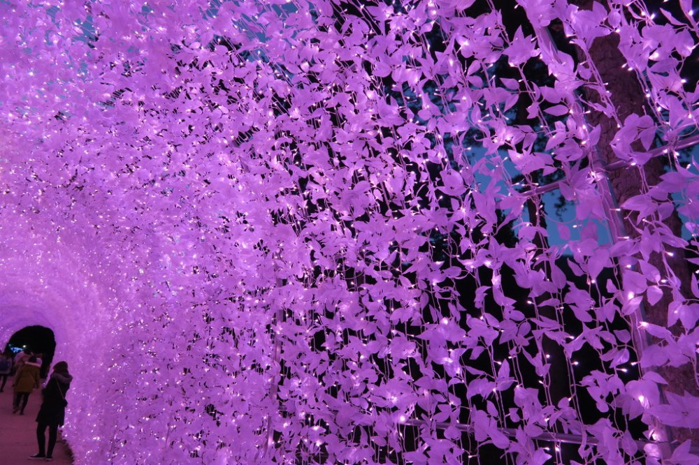 img_2280_zps5mw93gtj