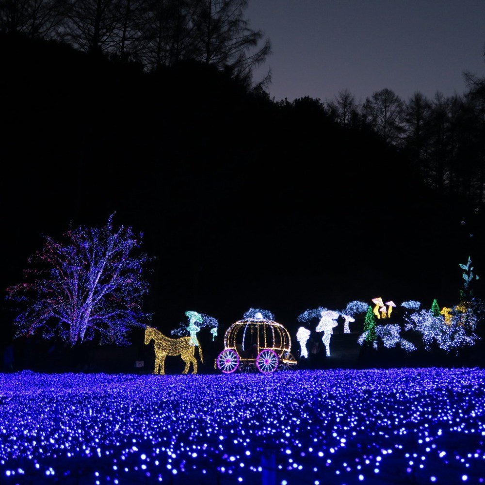 img_2285_zpsvfrxkiif