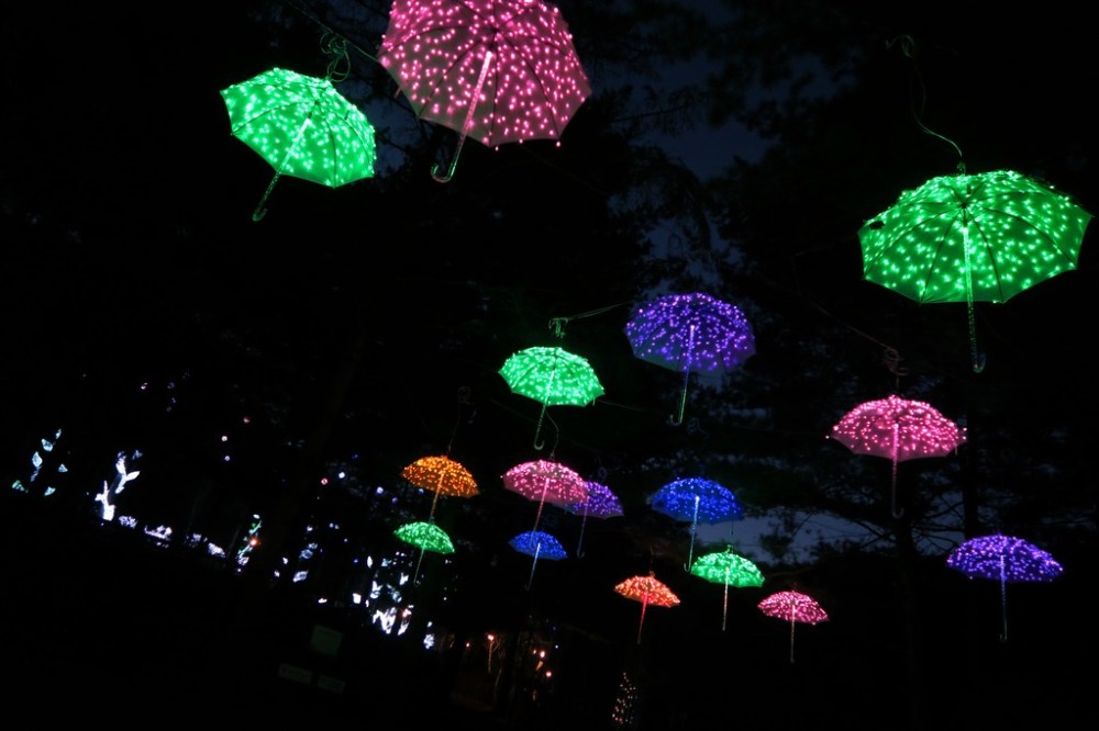 img_2292_zpsfidczx14