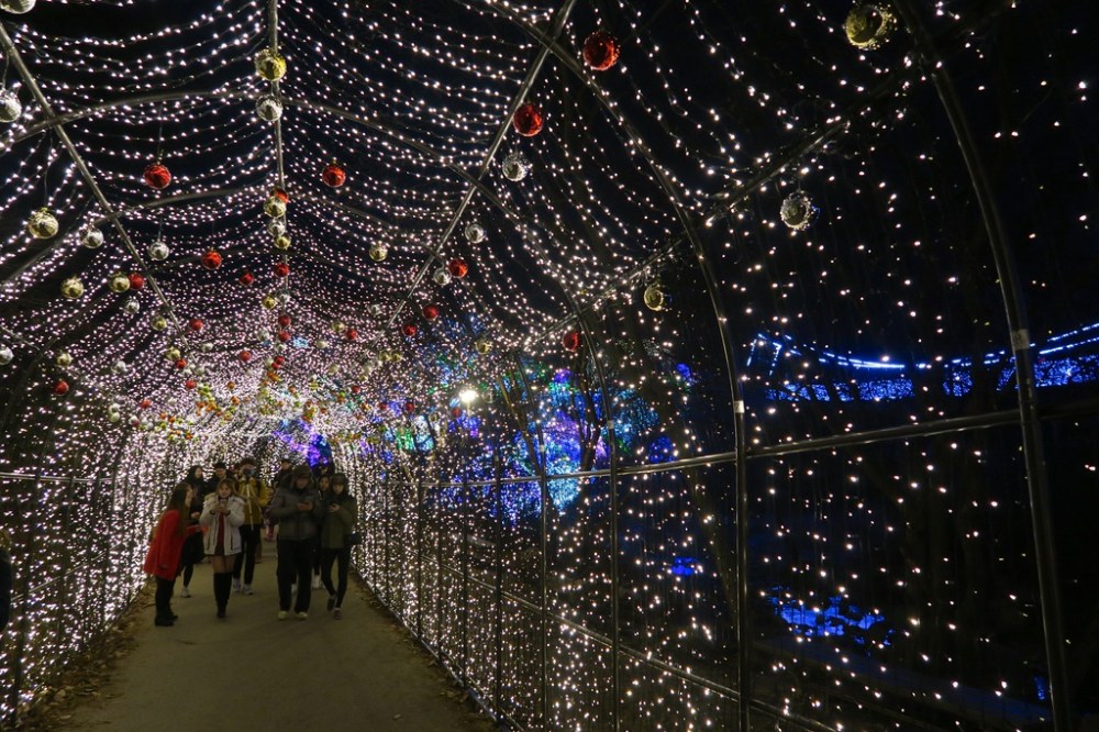 img_2299_zpst88owcg8