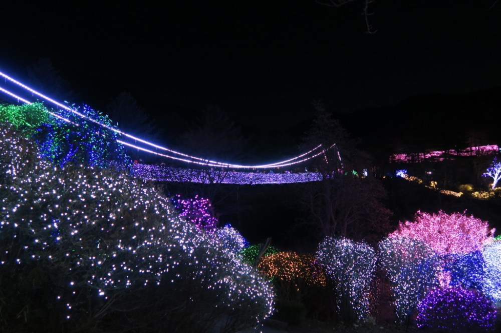 img_2310_zpsctbqcnt4