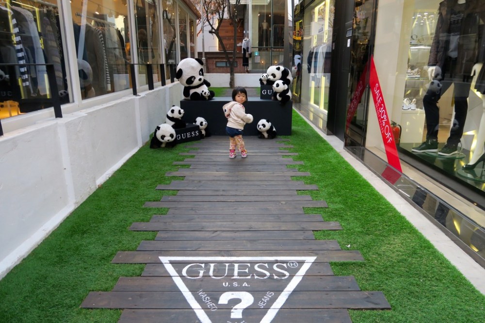 img_2527_zpsy7y84hhg