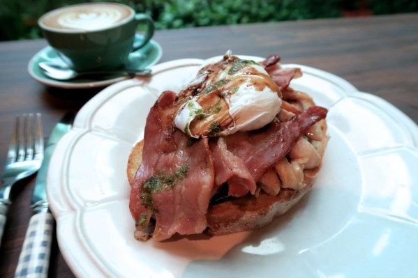 img_3387_zpshpljxkdu