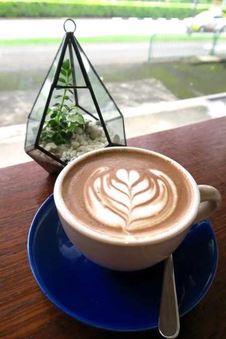 img_3515_zpszwqz9gpa