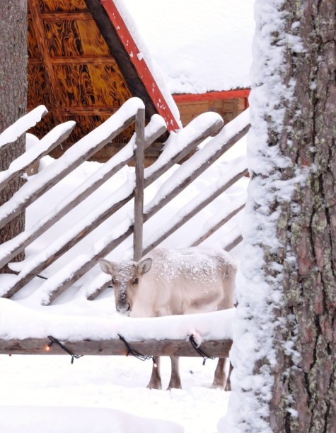 dscn0924_zps2a0pgycu