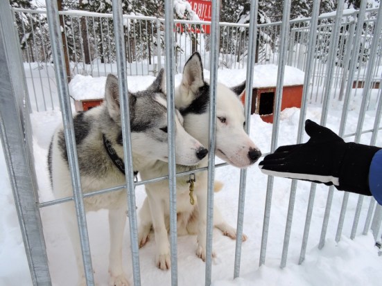 dscn1089_zpsyoqx0xgh