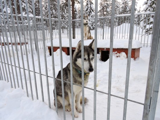 dscn1092_zpsosdee4fk