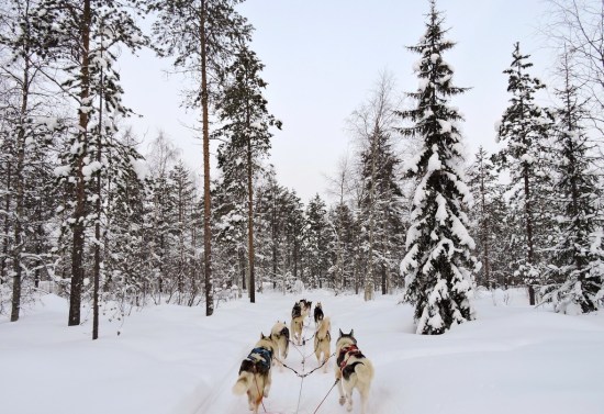 dscn1103_zpsoqn9sqcb