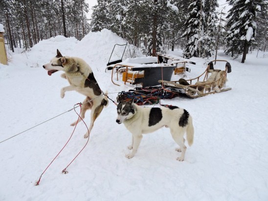 dscn1115_zpswbt2l7gf