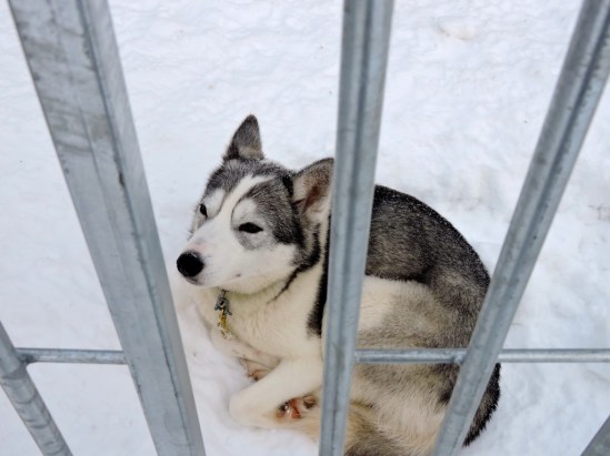 dscn1135_zpsraun0vh4