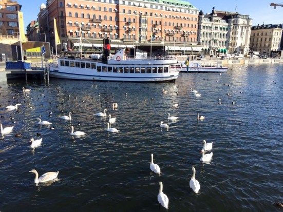 dscn1404_zpskwwbfg1l