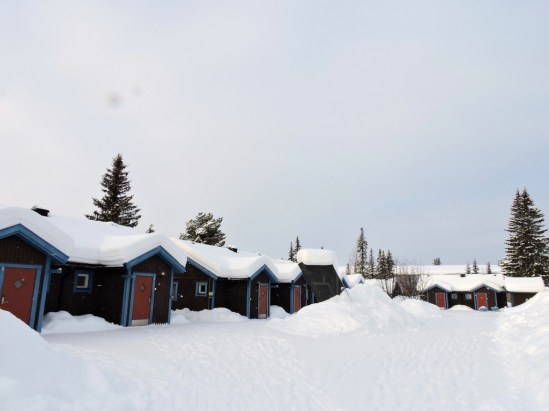 dscn1429_zpsme5xcoft