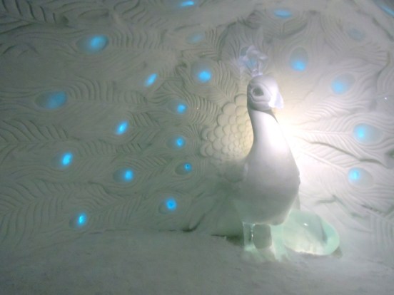 dscn1442_zpsbcotcbqw