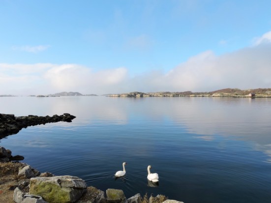 dscn1802_zpsnjbrqipo