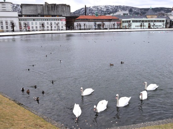 dscn2046_zpspj7elxk7