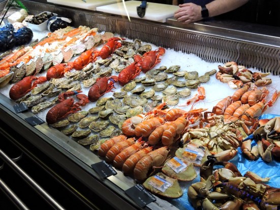 dscn2074_zpspwyjwemk