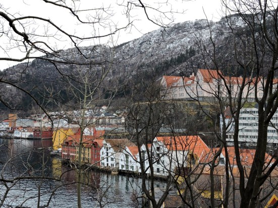 dscn2358_zpss04tswcv