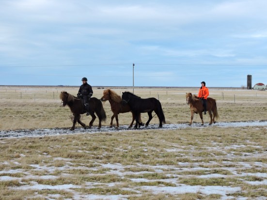 dscn2495_zpsmxftuupt