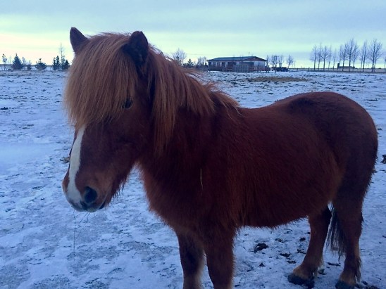 dscn2783_zpsl9u3vtz4