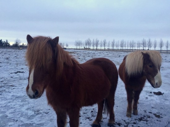 dscn2784_zpsii02ryzv