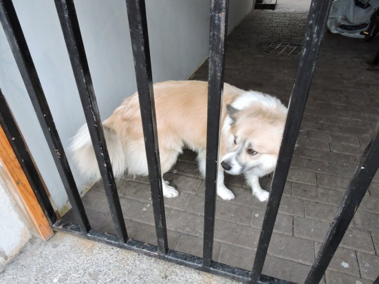 dscn2821_zps9p8ouq6v