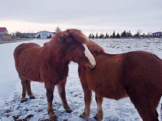 Processed with VSCOcam with kk2 preset