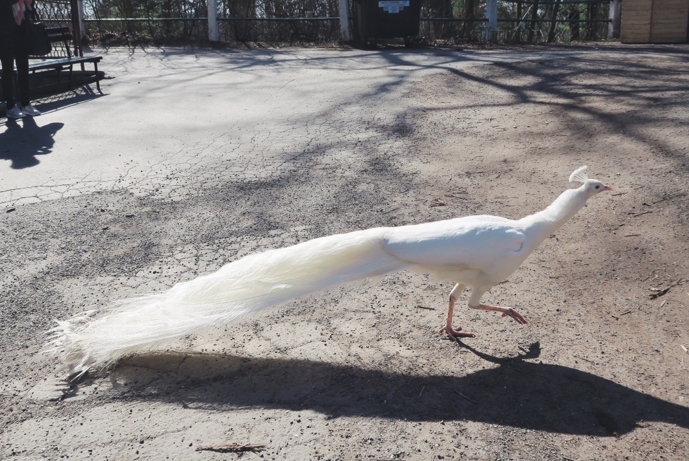 Processed with VSCO with f2 preset