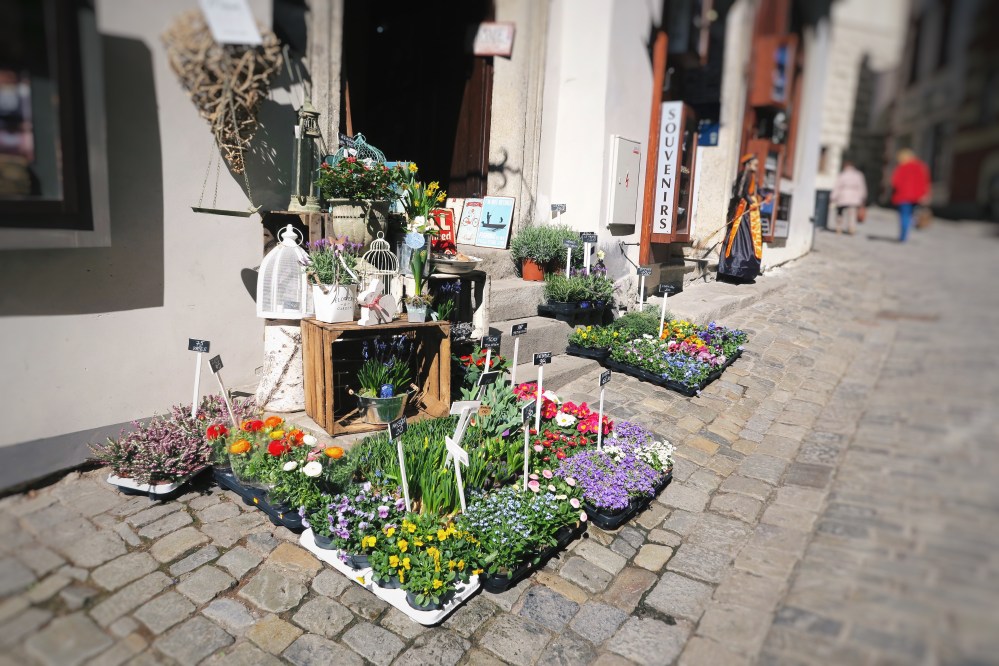 Processed with VSCO with hb2 preset