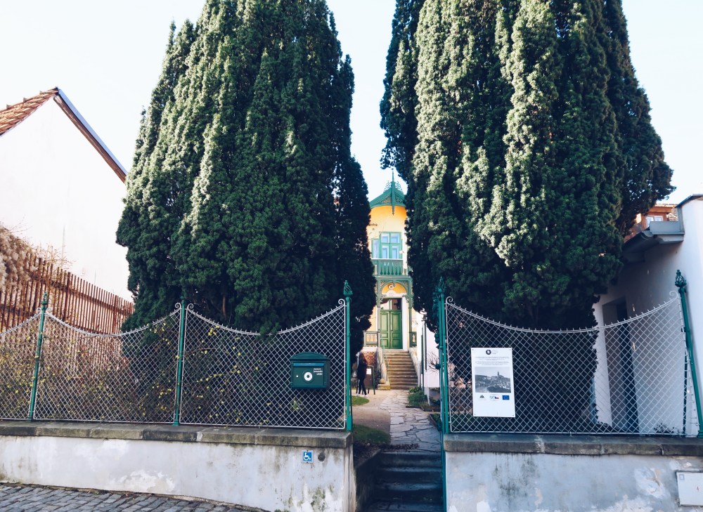 Processed with VSCO with a5 preset