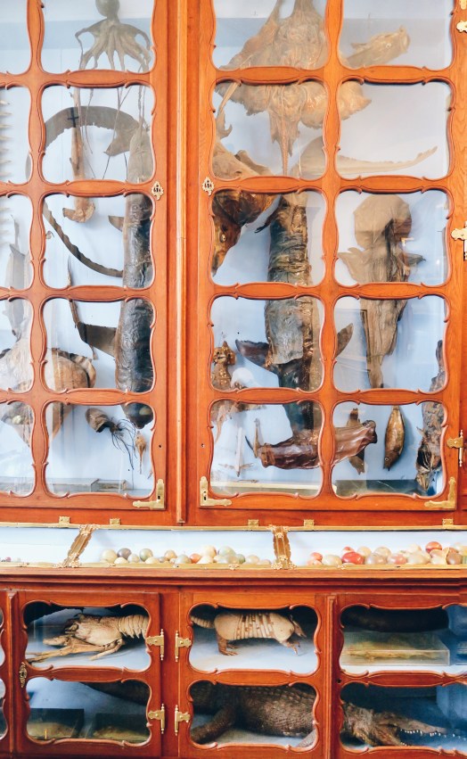 Processed with VSCO with hb1 preset