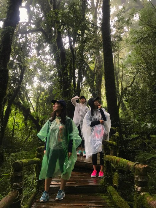 58640e31-ba05-4c7b-b1a5-0cc41ddd258d