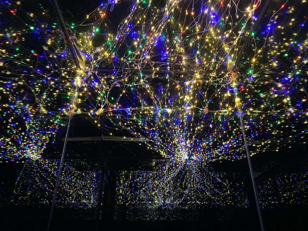 0D3E44F6-8C50-4D22-AD76-45FF4A3166BA_1_105_c