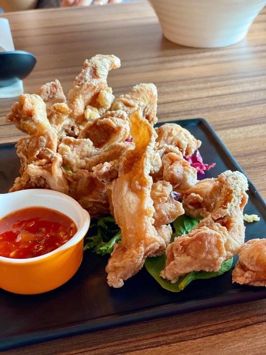 5DDD9F9F-1C6D-411E-B025-6790F6F2CE4E_1_105_c