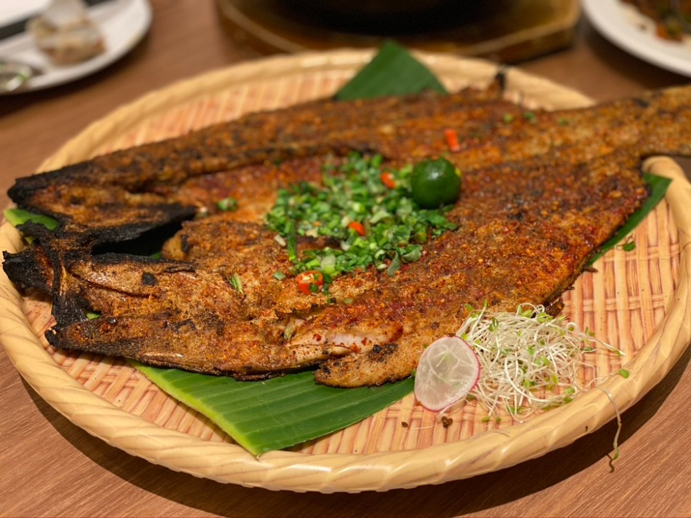 A4EB847B-295E-464D-9225-475E6EC4C451_1_105_c