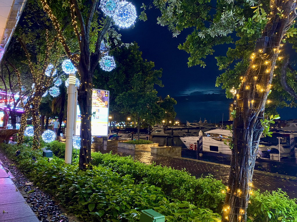 55716F6F-C17E-4456-AF2A-19C0A45DF95A_1_105_c