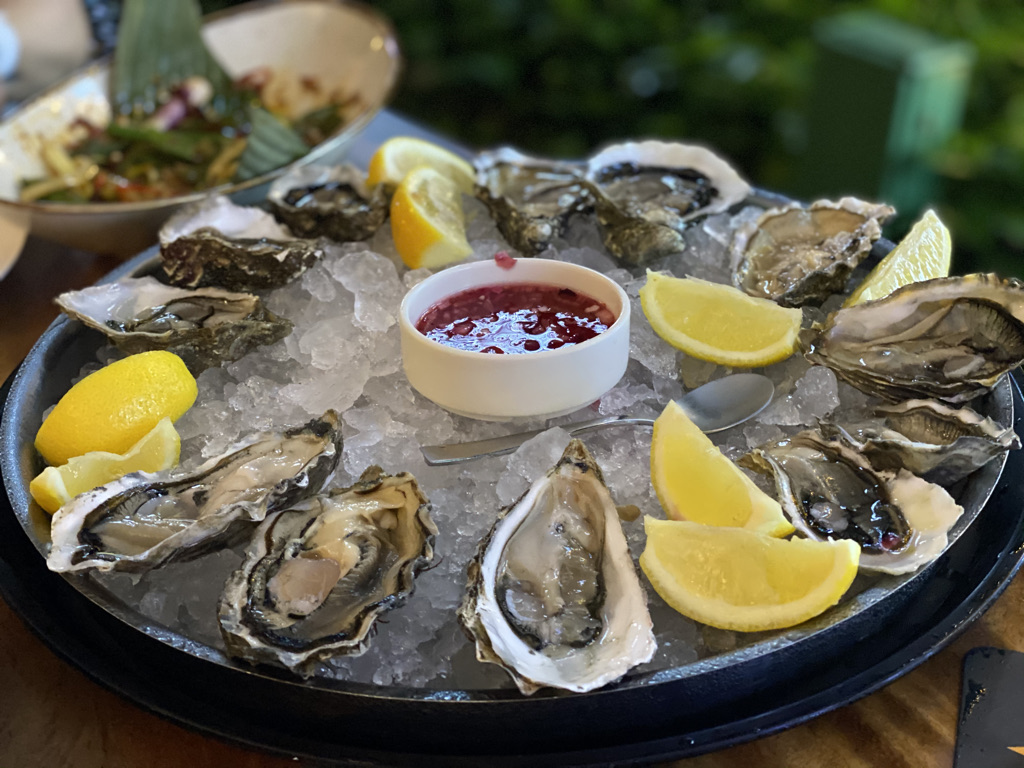 AA52040C-39C4-45F4-99CC-AED166F33859_1_105_c