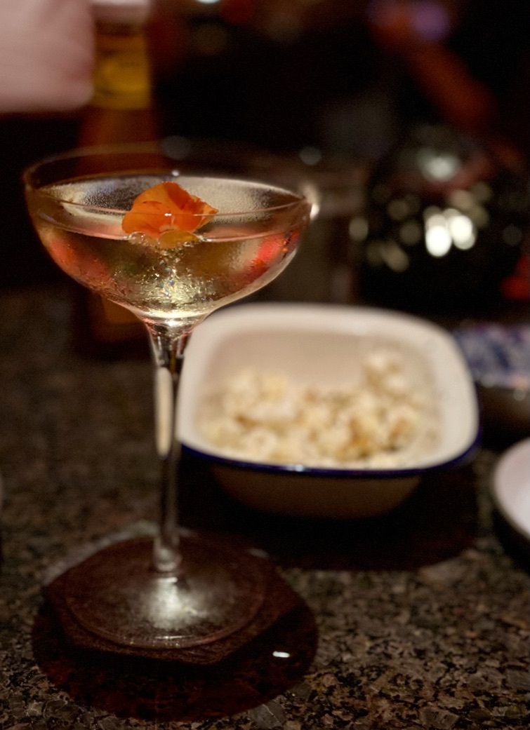 13E62A17-599B-448B-9BA2-28DB1A6DE5DE_1_105_c