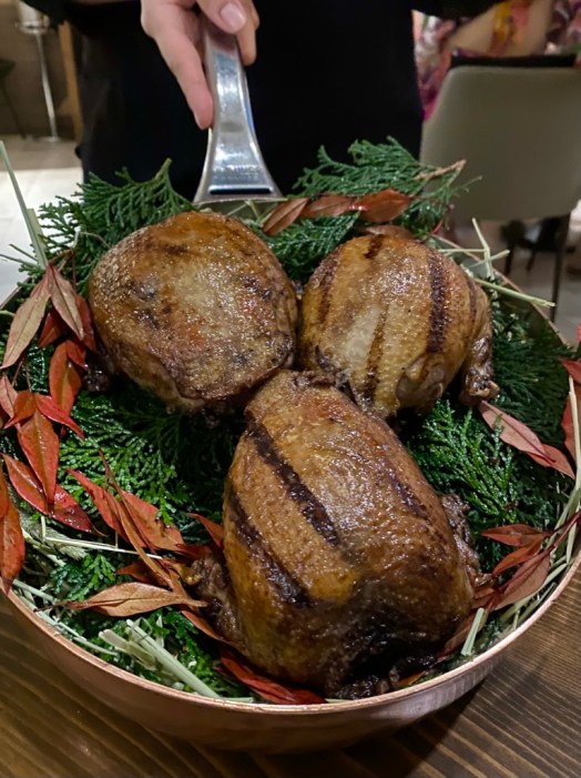 59936387-9702-479E-BBC8-08980B043932_1_105_c