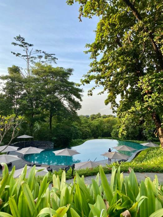 5C1B5C20-EB1A-4D44-9EA1-D0321A3A00DA_1_105_c