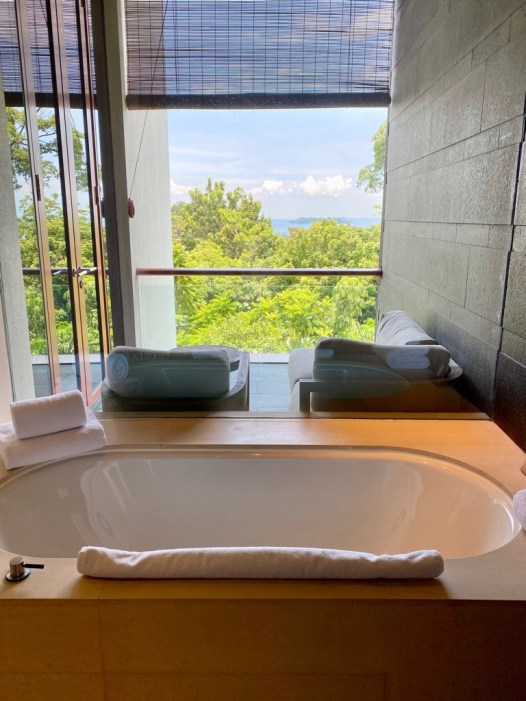 84CBE64E-D097-4B2F-8322-87A1C592EB7B_1_105_c