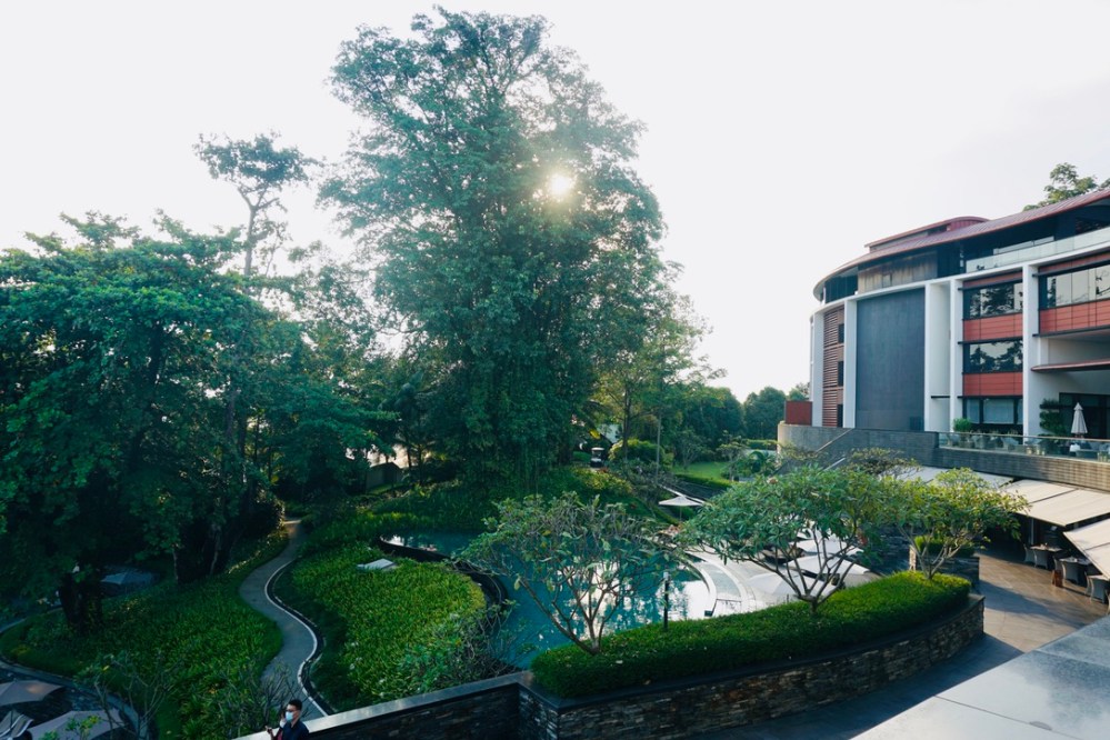 86118D68-6310-4C78-982A-8FF165E721D4_1_105_c