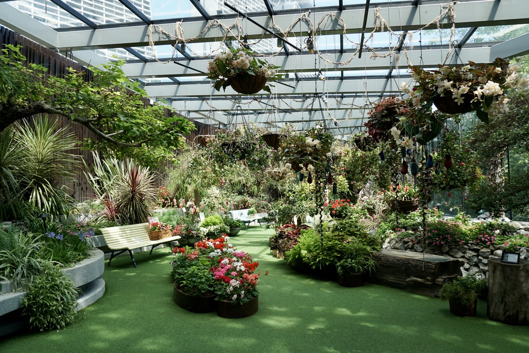 4686EFC8-8833-4F2D-BE58-4A1C8E83E44D_1_105_c