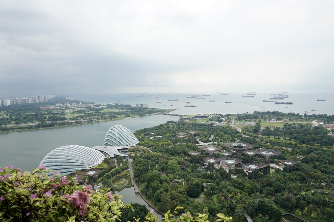 F48D1560-5E11-495D-AF2B-170585AA30F8_1_105_c