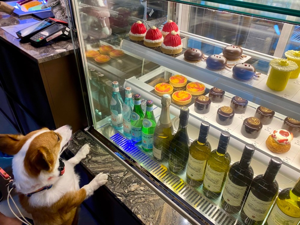 88A20223-8541-4B5A-A5B6-413388140187_1_105_c