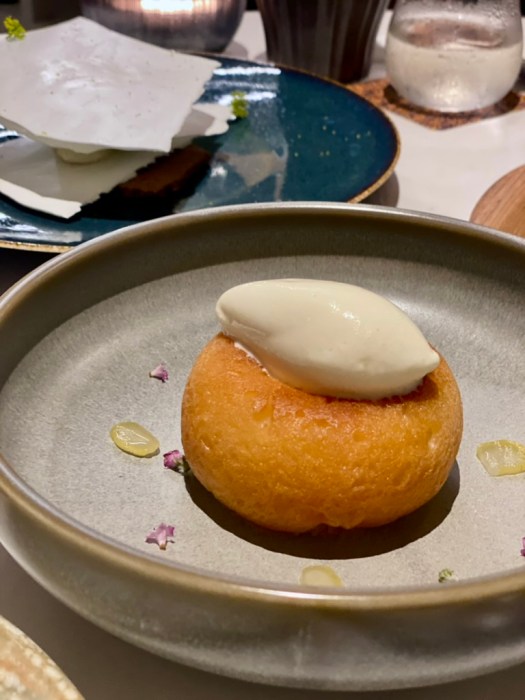 21642741-E46A-4B0A-8E2E-8DC25AADF87B_1_105_c